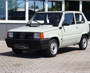 Fiat Panda Gebrauchtwagen
