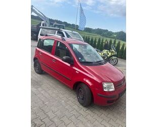 Fiat Panda Gebrauchtwagen