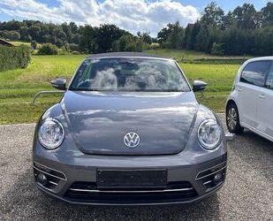 VW Beetle Gebrauchtwagen