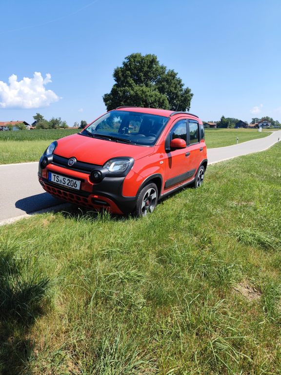 Bild 1