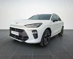 Cupra Terramar Gebrauchtwagen