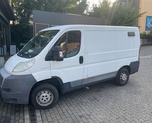 Fiat Ducato Gebrauchtwagen