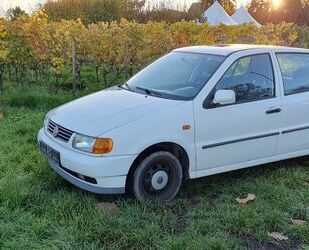 VW Polo Gebrauchtwagen