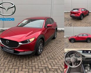 Mazda CX-30 Gebrauchtwagen