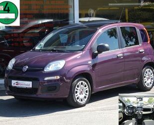 Fiat Panda Gebrauchtwagen