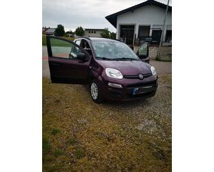 Fiat New Panda Gebrauchtwagen