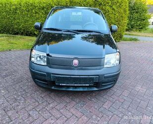 Fiat New Panda Gebrauchtwagen