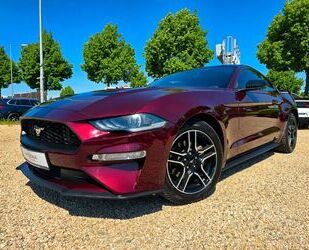 Ford Mustang Gebrauchtwagen
