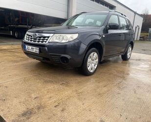 Subaru Forester Gebrauchtwagen