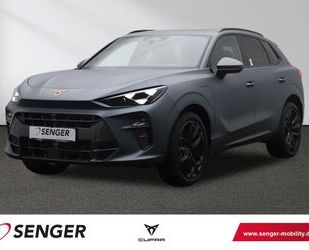 Cupra Terramar Gebrauchtwagen