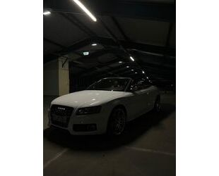 Audi S5 Gebrauchtwagen