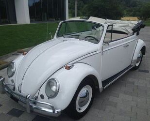 VW Käfer Gebrauchtwagen