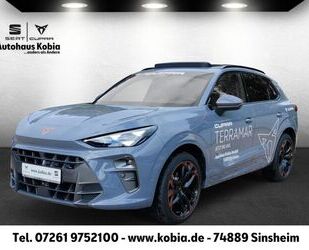 Cupra Terramar Gebrauchtwagen