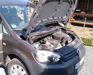 VW Caddy Gebrauchtwagen