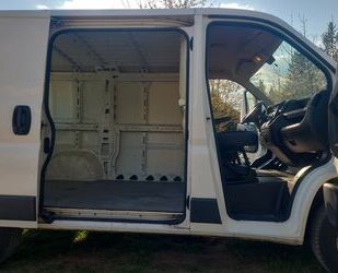 Fiat Ducato Gebrauchtwagen
