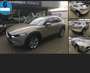 Mazda CX-30 Gebrauchtwagen