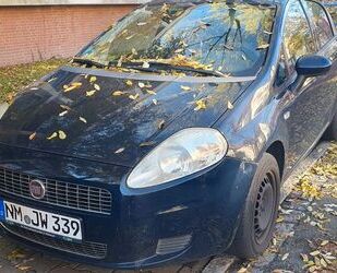 Fiat Punto Gebrauchtwagen