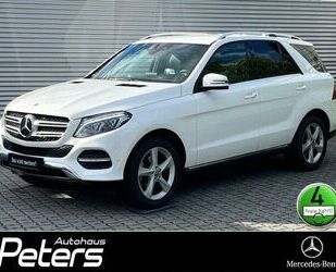 Mercedes-Benz GLE 350 Gebrauchtwagen