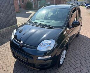 Fiat Panda Gebrauchtwagen
