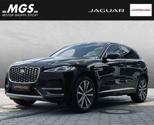 Jaguar F-Pace Gebrauchtwagen
