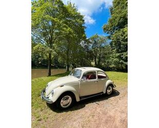 VW Käfer Gebrauchtwagen