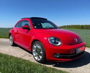VW Beetle Gebrauchtwagen