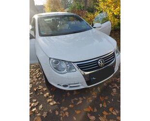 VW Eos Gebrauchtwagen