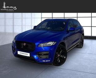 Jaguar F-Pace Gebrauchtwagen