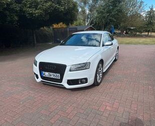 Audi S5 Gebrauchtwagen