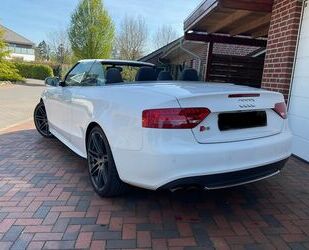 Audi S5 Gebrauchtwagen