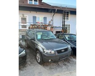 Ford Maverick Gebrauchtwagen