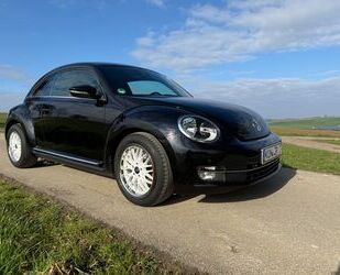 VW Beetle Gebrauchtwagen