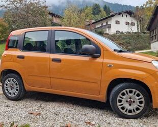 Fiat Panda Gebrauchtwagen