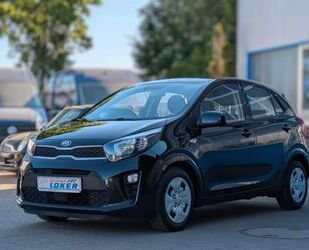 Kia Picanto Gebrauchtwagen
