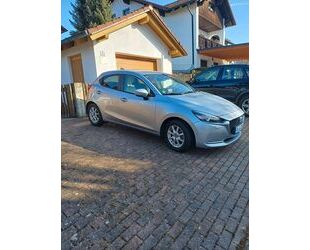 Mazda 2 Gebrauchtwagen