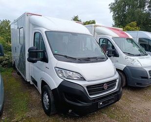 Fiat Ducato Gebrauchtwagen