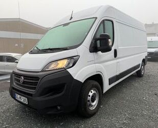 Fiat Ducato Gebrauchtwagen