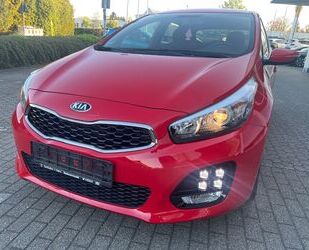 Kia ceed / Ceed Gebrauchtwagen