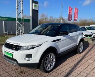 Land Rover Range Rover Evoque Gebrauchtwagen