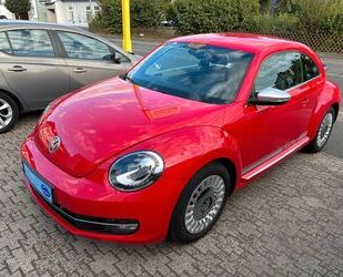 VW Beetle Gebrauchtwagen