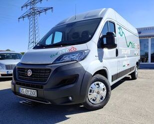 Fiat Ducato Gebrauchtwagen