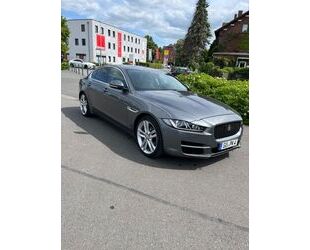 Jaguar XE Gebrauchtwagen