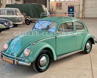 VW Käfer Gebrauchtwagen