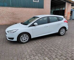 Ford Focus Gebrauchtwagen