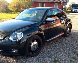 VW Beetle Gebrauchtwagen