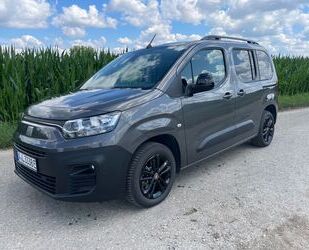 Fiat Doblo Gebrauchtwagen