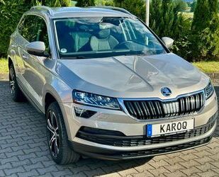 Skoda Karoq Gebrauchtwagen
