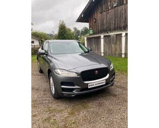 Jaguar F-Pace Gebrauchtwagen