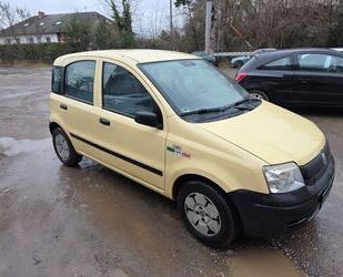 Fiat Panda Gebrauchtwagen