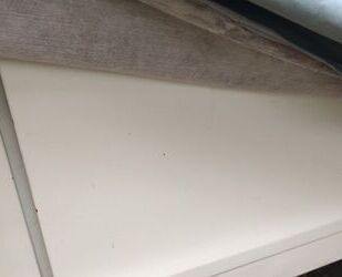 Citroen 2 CV Gebrauchtwagen